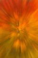 aspen, abstract, san juan mountains, colorado, action, warp, blur, computer trickery, tree, leaves, red, green orange, y photo