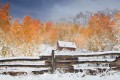 uncompahgre national forest, colorado, silverjack, autumn, snow, fall color, colors, cimarron ridge, orange, white, blue photo