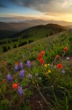shrine ridge, shrine, ridge, shrine pass, shrine, pass, colorado, mt. of the holy cross, mt, of, the, holy, cross, vail, photo