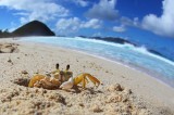 Trip Report: Caribbean