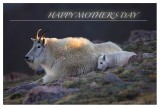 Free Mother's Day E-Cards!