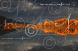 To Watermark or Not to Watermark?