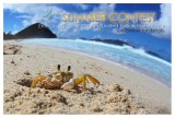 Summer Print Giveaway!