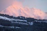 Trip Report - Yellowstone National Park - Wyoming