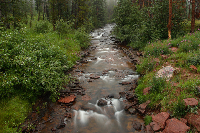 piney river, river, vail colorado, vail, colorado, summer, flowers, green, waterscape, water,  photo