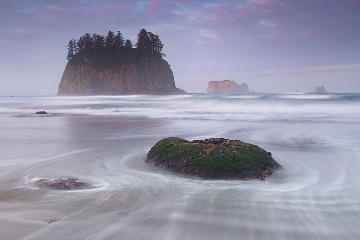 second beach, olympic national park, la push, washington, wa, ocean, sunrise, water, sea stack, otter, otters,  photo
