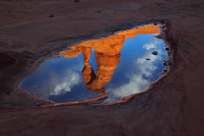 oasis, delicate arch, arches national park, utah, moab, ut, puddle, reflection, abstract, icon, america photo