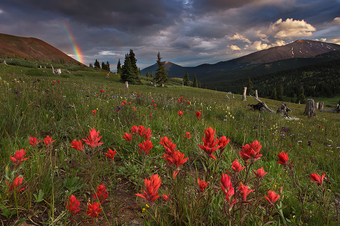 mount silverheels, silverheels, legend, mt, colorado, co, breckenridge, south park, rainbow, miners, gold rush, history, photo