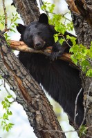 Hanging Out