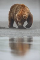 Beneath the Surface