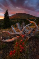 Twisted Sunset II