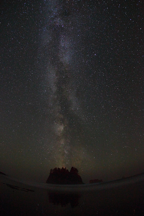 While camping on the Olympic Peninsula I looked to the sky and saw the milky way the clearest I have ever seen. I quickly grabbed...