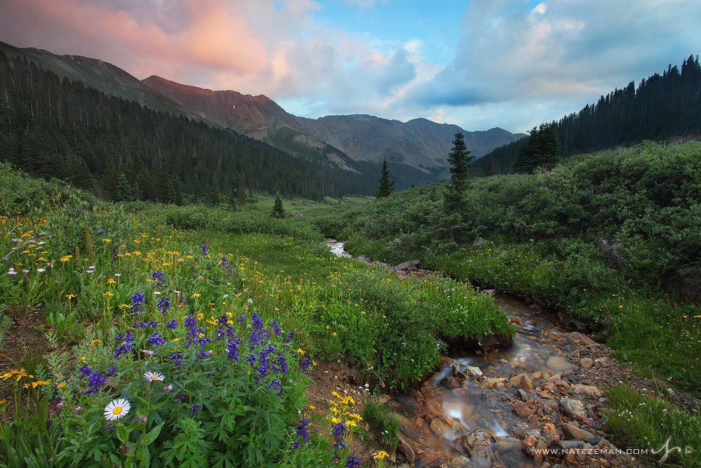 Summer is in full swing in the Rocky Mountains. Cotton candy clouds soak up the last rays of sunlight. Wildflowers are abundant...