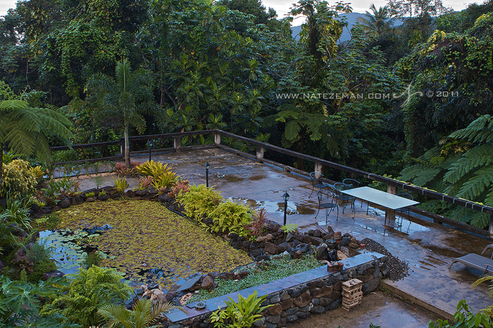 After our time near the coast we headed for the El Yunque Rainforest. This is the view from my room in the rainforest. It was...