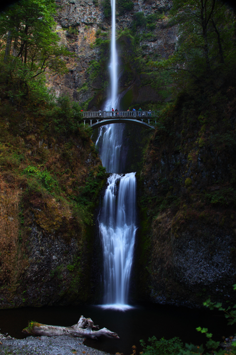 Multnomah Falls is by far the best known waterfall in the Columbia River Gorge. Much of this is due to its sheer size, at well...