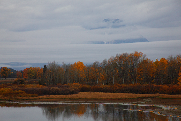 One last look at the Oxbow bend on my way out of the park. Mt. Moran is just barely visible through the clouds. Very few leaves...