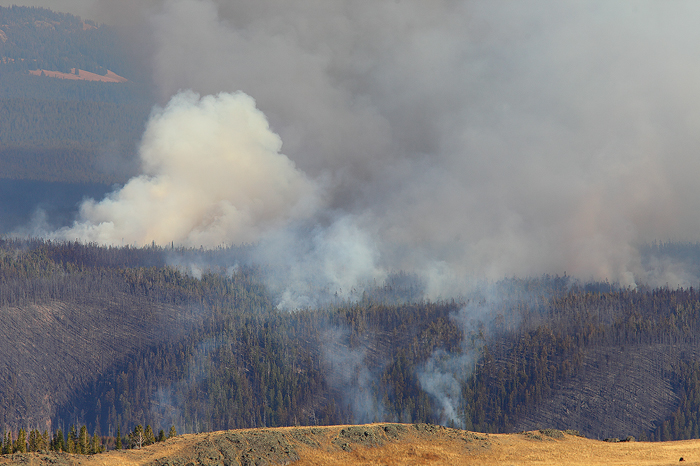 A close up view of the Antelope wildfire, seen from Dunraven Pass. I believe this was a lightning caused fire.&nbsp;
