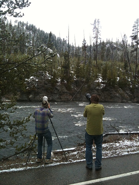 Paul and Ian photographing the osprey.&nbsp;